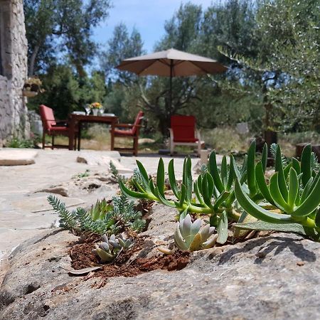 Holiday Home Strpuncina Luka  Exterior photo